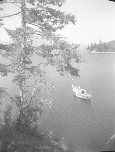 Untitled (sailboat viewed from cliff)
