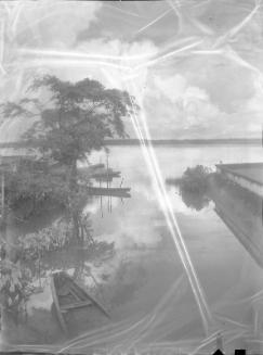 On the Bank of the Essequibo
