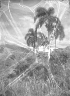 Puerto Rican Landscape