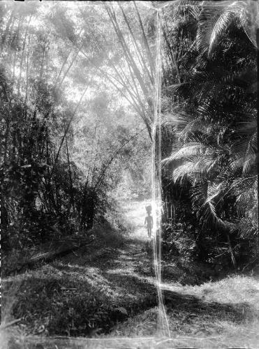 Untitled (native with basket on head in tropical forest)