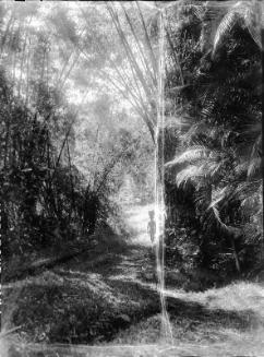 Untitled (native with basket on head in tropical forest)