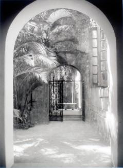 Untitled (tropical courtyard wth arched entrances)