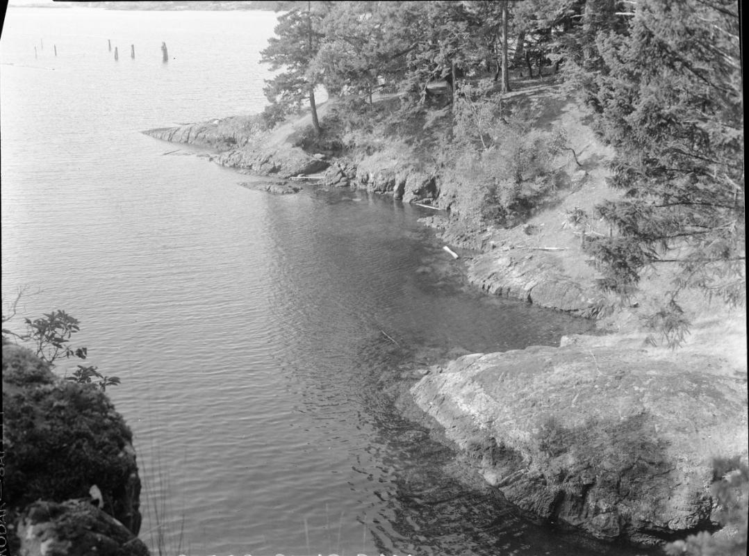 Untitled (rocky shore with trees)