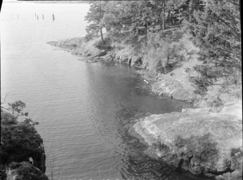 Untitled (rocky shore with trees)