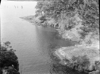 Untitled (rocky shore with trees)