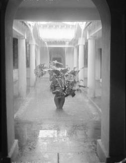Rain in the Patio