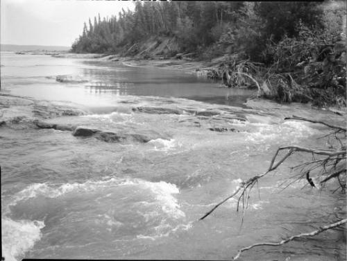 Untitled (tree-lined shore, rushing water)