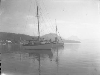 Untitled (anchored sailboats reflecting on water)