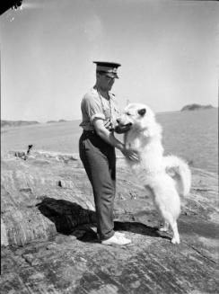 Untitled (RCMP officer and dog)