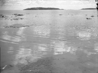 Untitled (murky water)