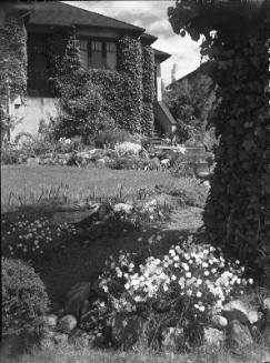 Untitled (house with climbing vines)