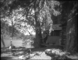 Untitled (cabin in the woods)