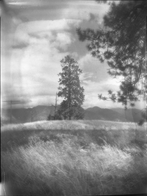 Untitled (grassy plain with tree and distant mountains)