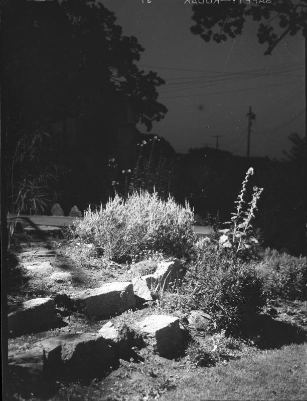 Untitled (rock garden at night)
