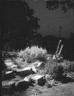 Untitled (rock garden at night)