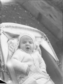 Untitled (baby in carriage)