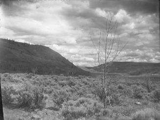 Untitled (rugged terrain)