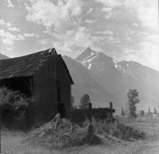 Untitled (dilapidated barn)