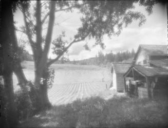 Untitled (farmhouse)
