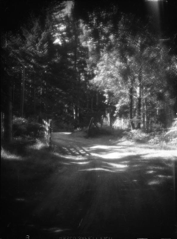 Untitled (road with gate)