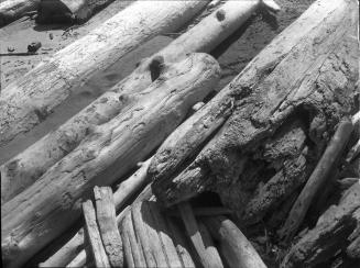 Untitled (beached logs)