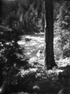 Untitled (river bank)