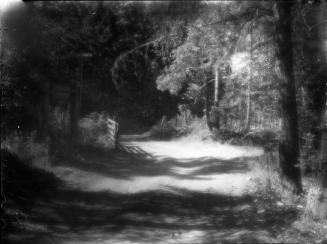 Untitled (road with gate)