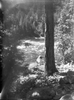 Untitled (river bank)