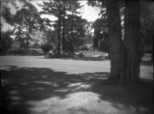 Untitled (lawn)