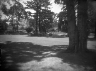 Untitled (lawn)