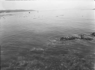 Untitled (rocks under water)