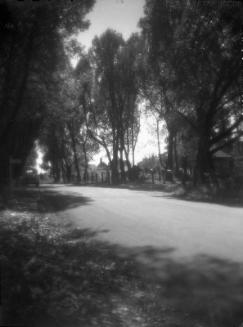 Untitled (road through a small community)