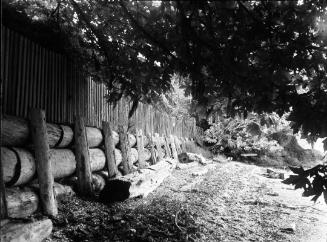 Untitled (wooden fence)