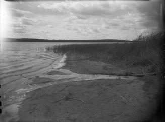 Untitled (beach with reeds and twigs)