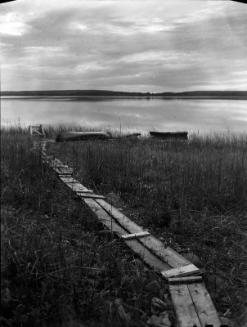 Untitled (wooden walkway to lake)