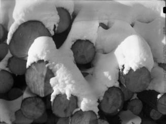 Untitled (snow-topped logs)