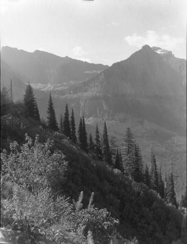 Untitled (treed cliff and mountains)