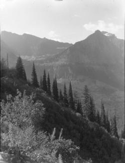 Untitled (treed cliff and mountains)