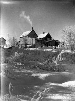 Untitled (backyards in winter)