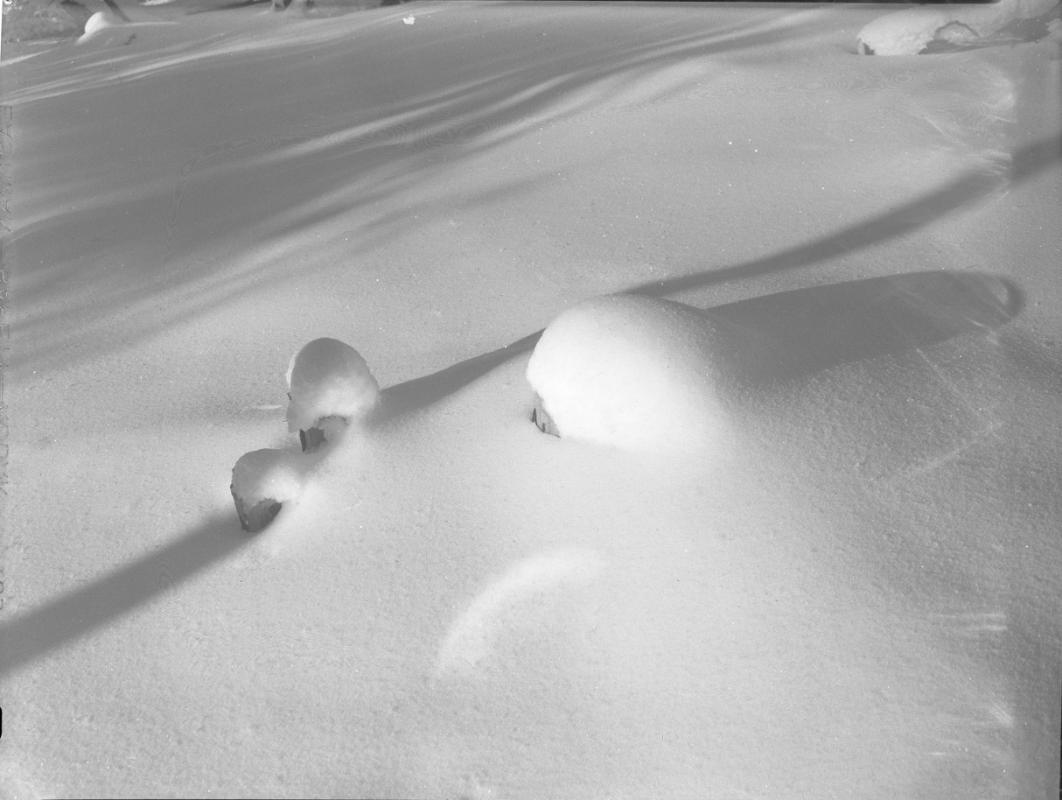 Untitled (snow-covered posts)