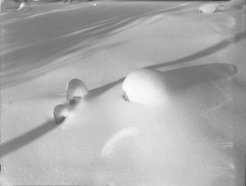 Untitled (snow-covered posts)