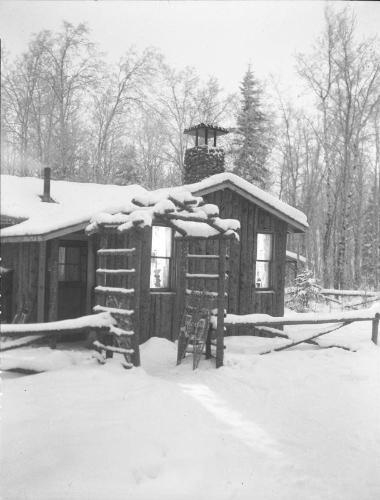 Untitled (cabin)
