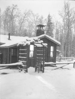 Untitled (cabin)