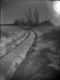 Untitled (road through a snow-covered field)