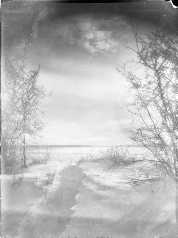 Untitled (snow-covered field with trees)