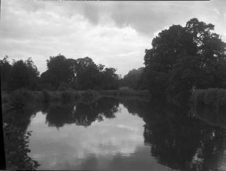 Untitled (hedges along river)