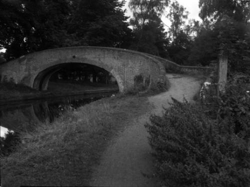 Untitled (bridge and trees)