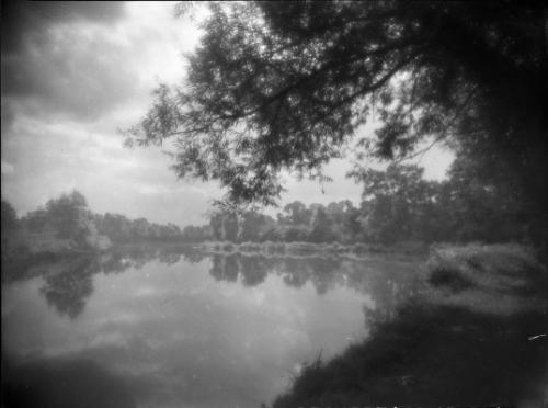 Untitled (trees along riverbank)