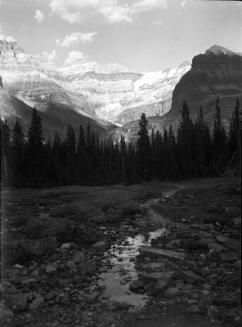 Untitled (mountain stream)