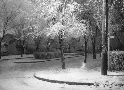 Untitled (city street)